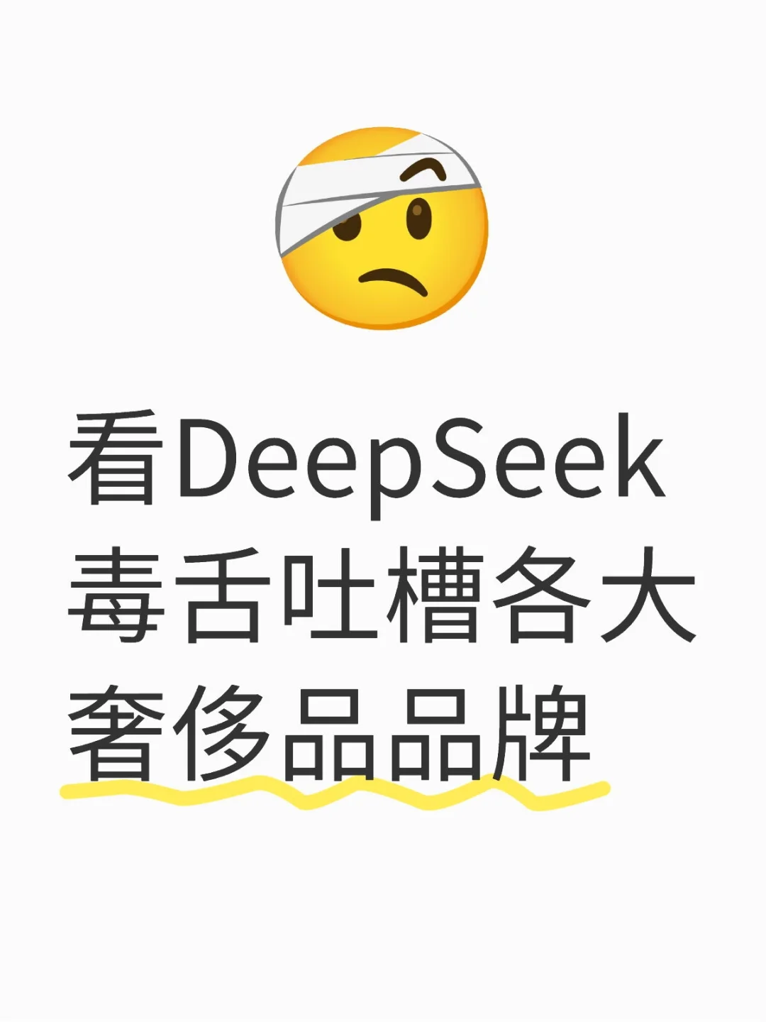 看DeepSeek毒舌吐槽各大奢侈品品牌奢侈品 deepseek deepsee
