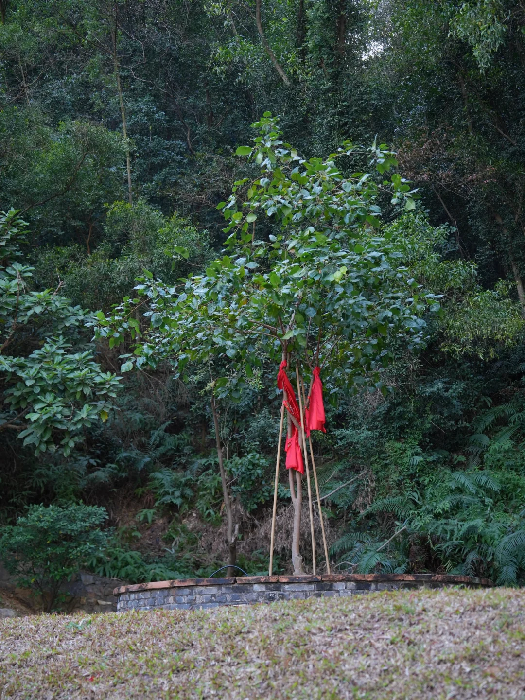 城市中的微度假🍃藏在山谷林涧间中的私邸