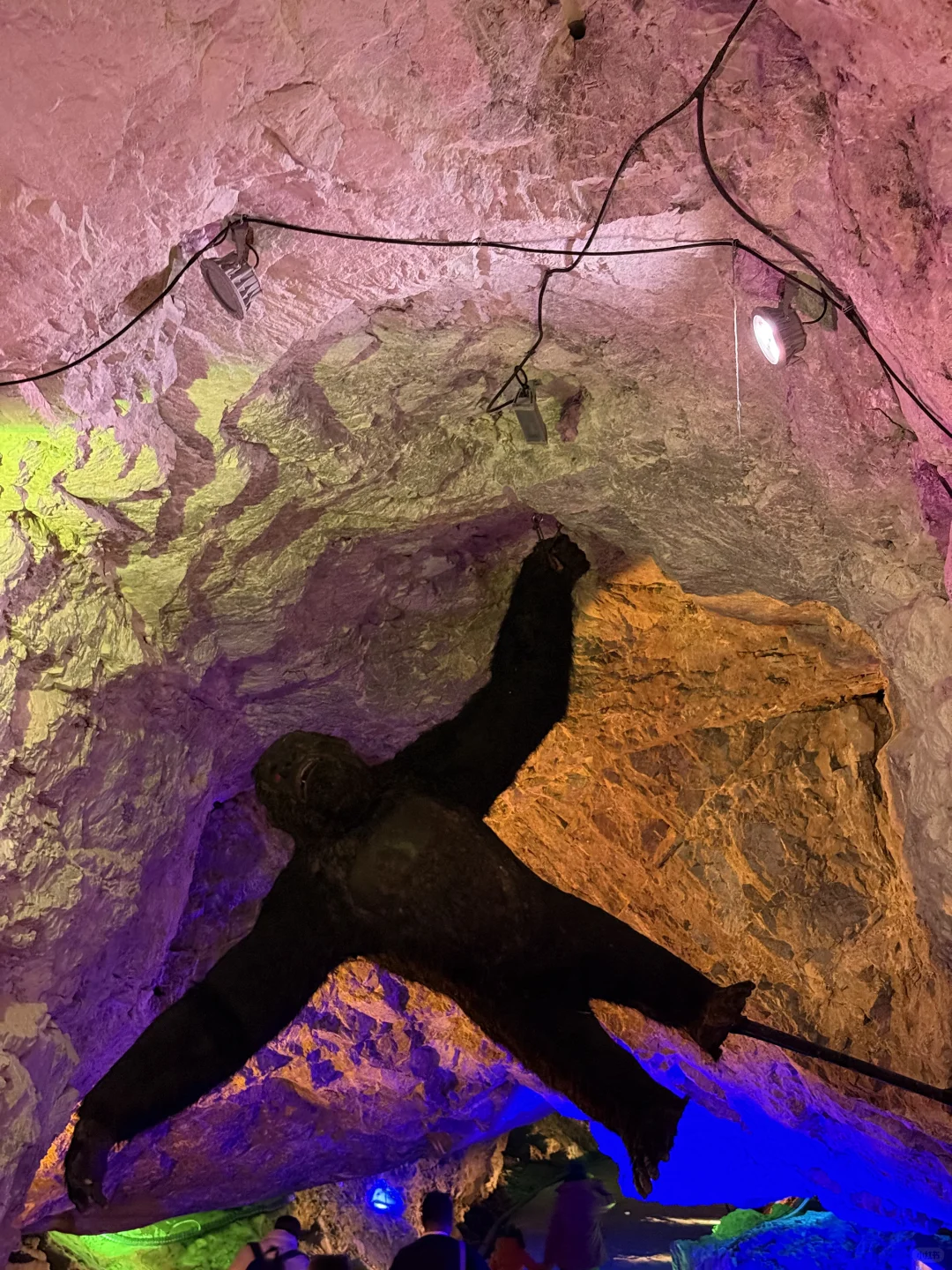 💥错过可惜！杭州户外森林乐园打卡攻略