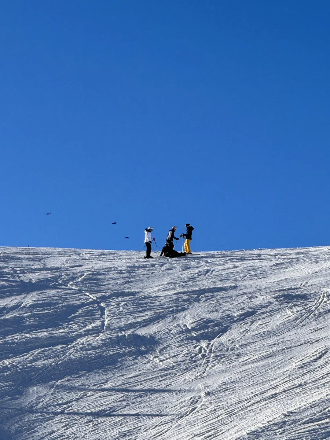 Hello from First Mountain👋🧡
