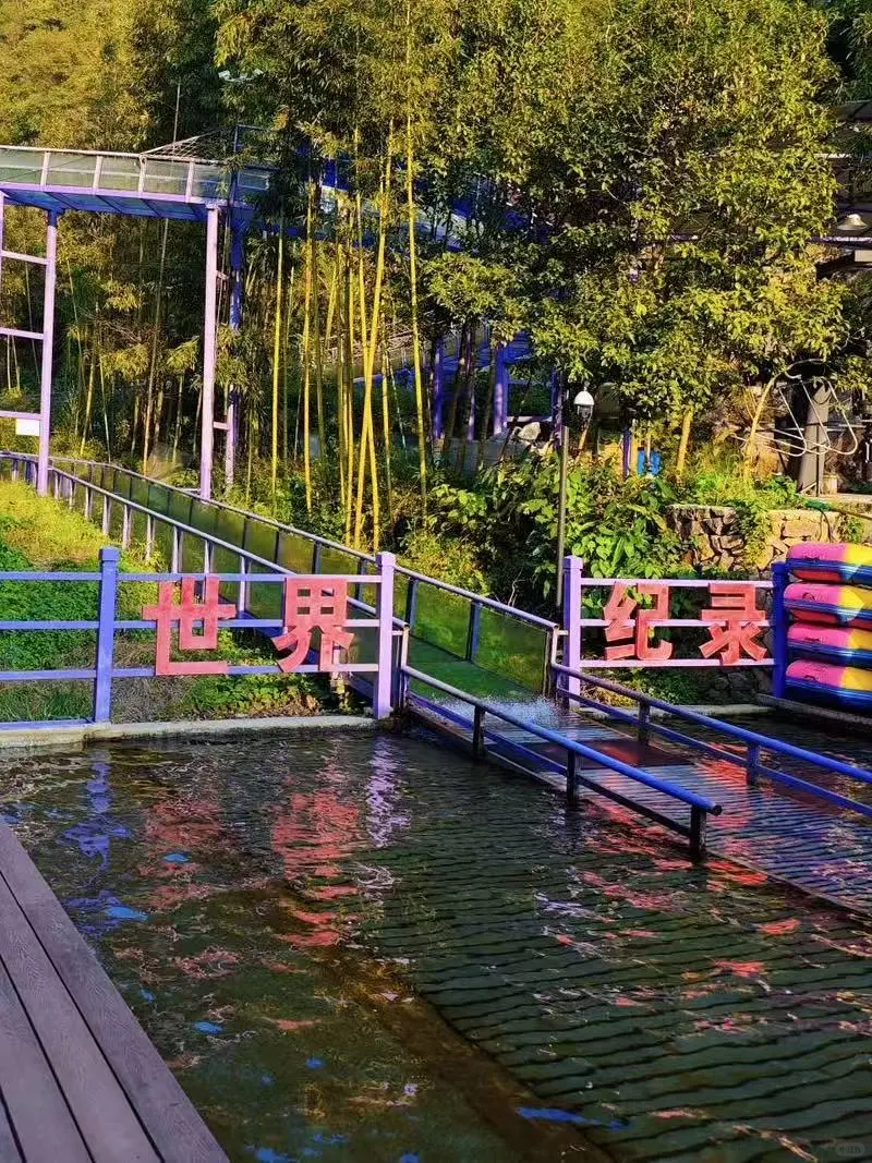 💥错过可惜！杭州户外森林乐园打卡攻略