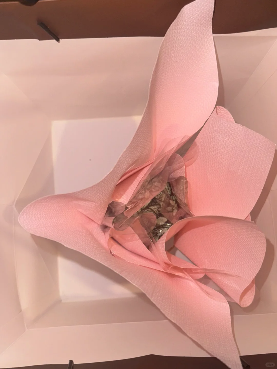 友宝女！！哎嘿