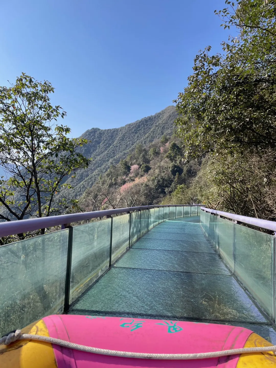 💥错过可惜！杭州户外森林乐园打卡攻略