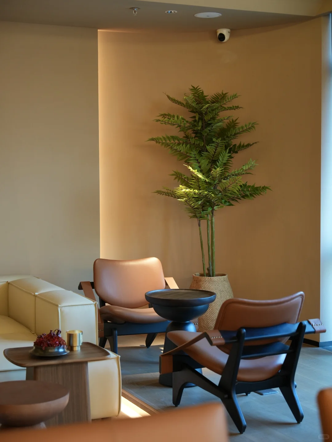 春节出行｜度假爱好者私藏！深圳小众宝藏公寓