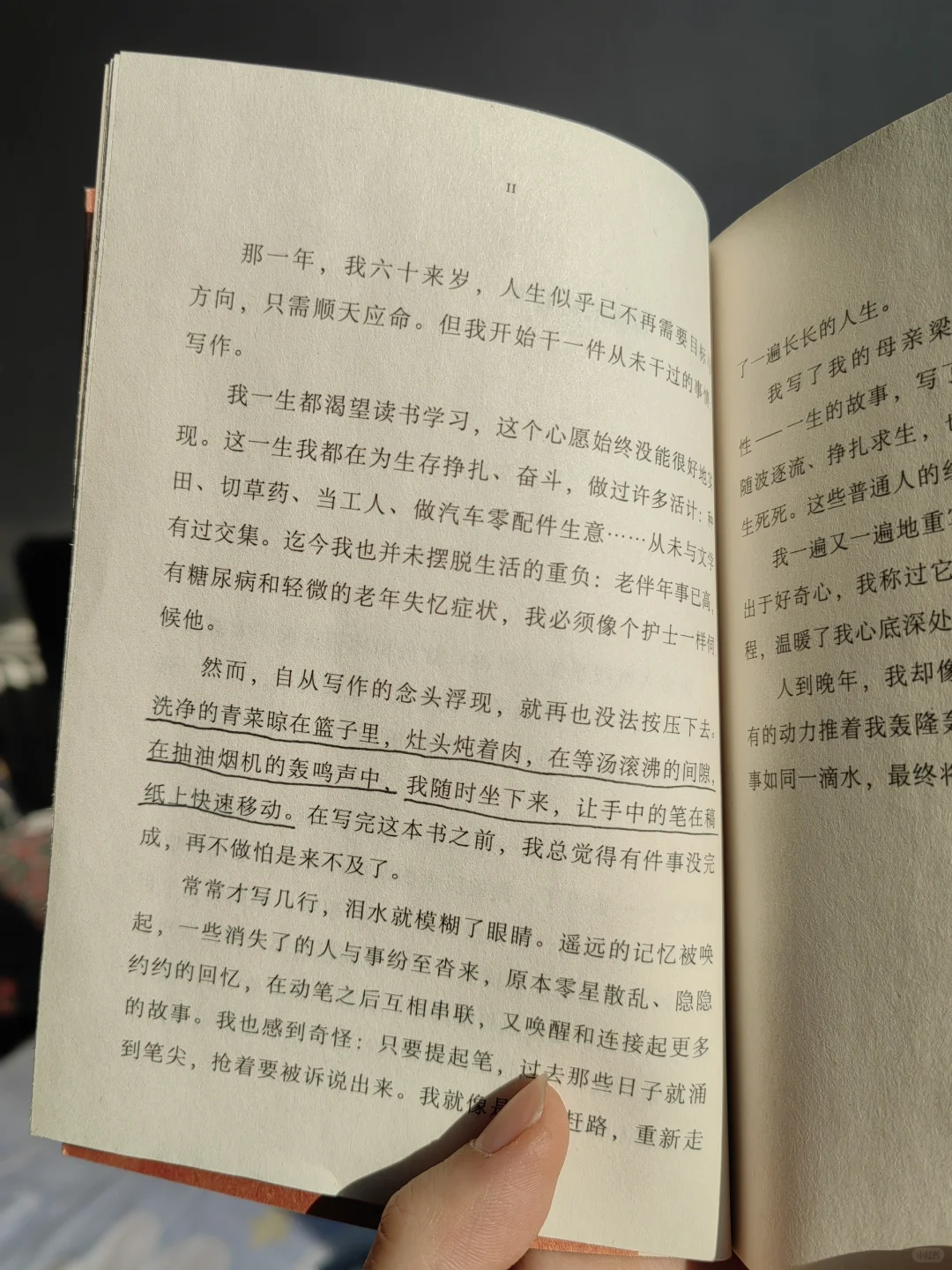 看看我姥在看啥