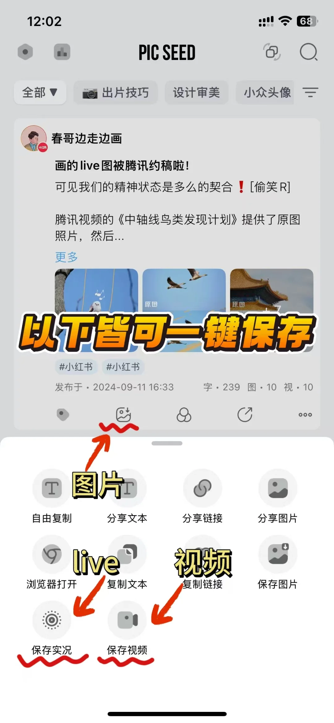 太好了是 PicSeed,我们有救了!🙏🏻