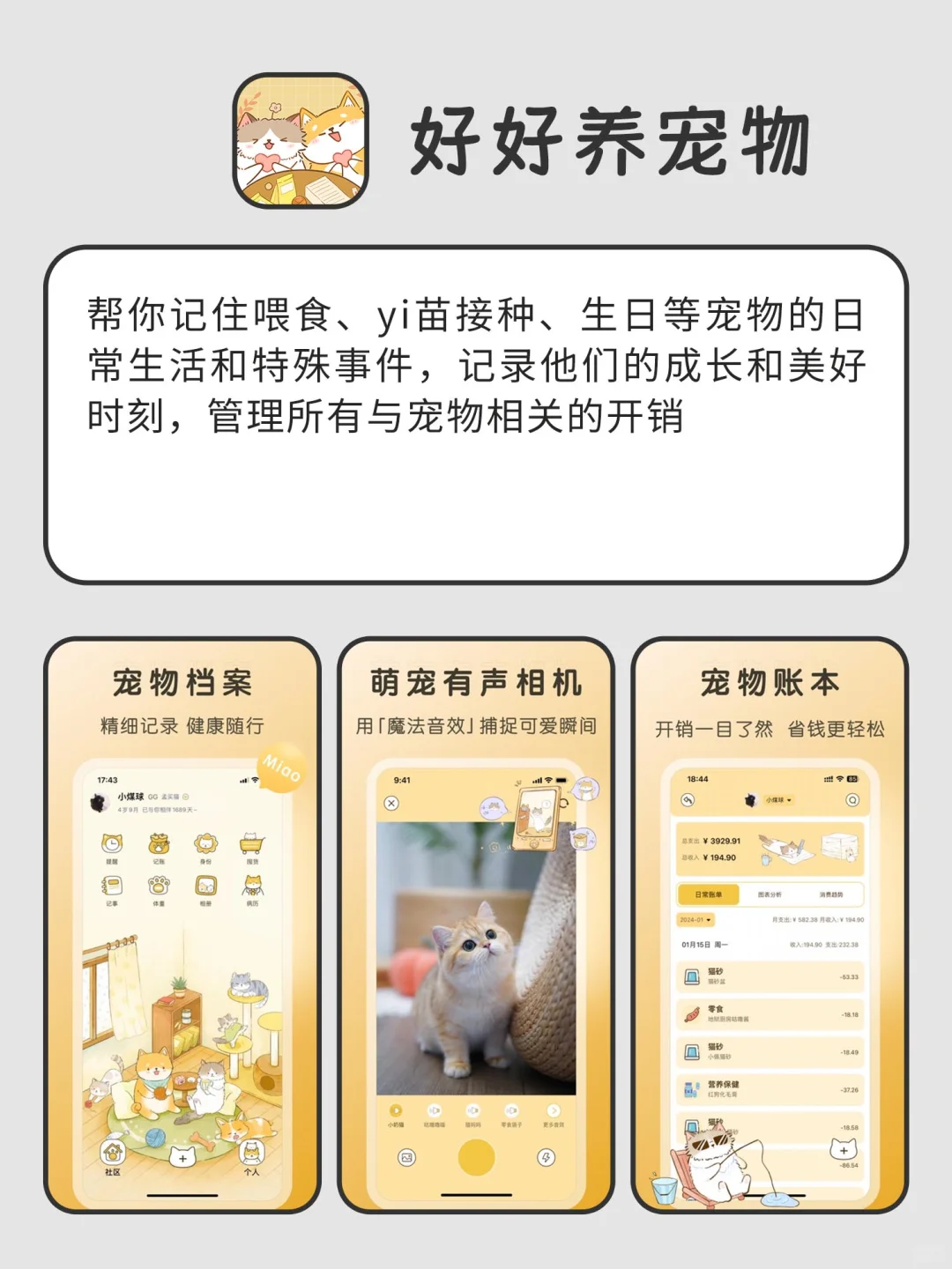 相见恨晚的小众宝藏APP