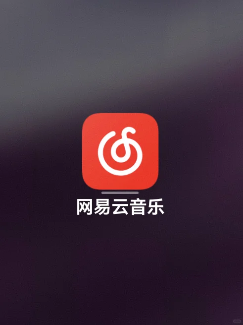 华为智慧屏最好用的网易云APP