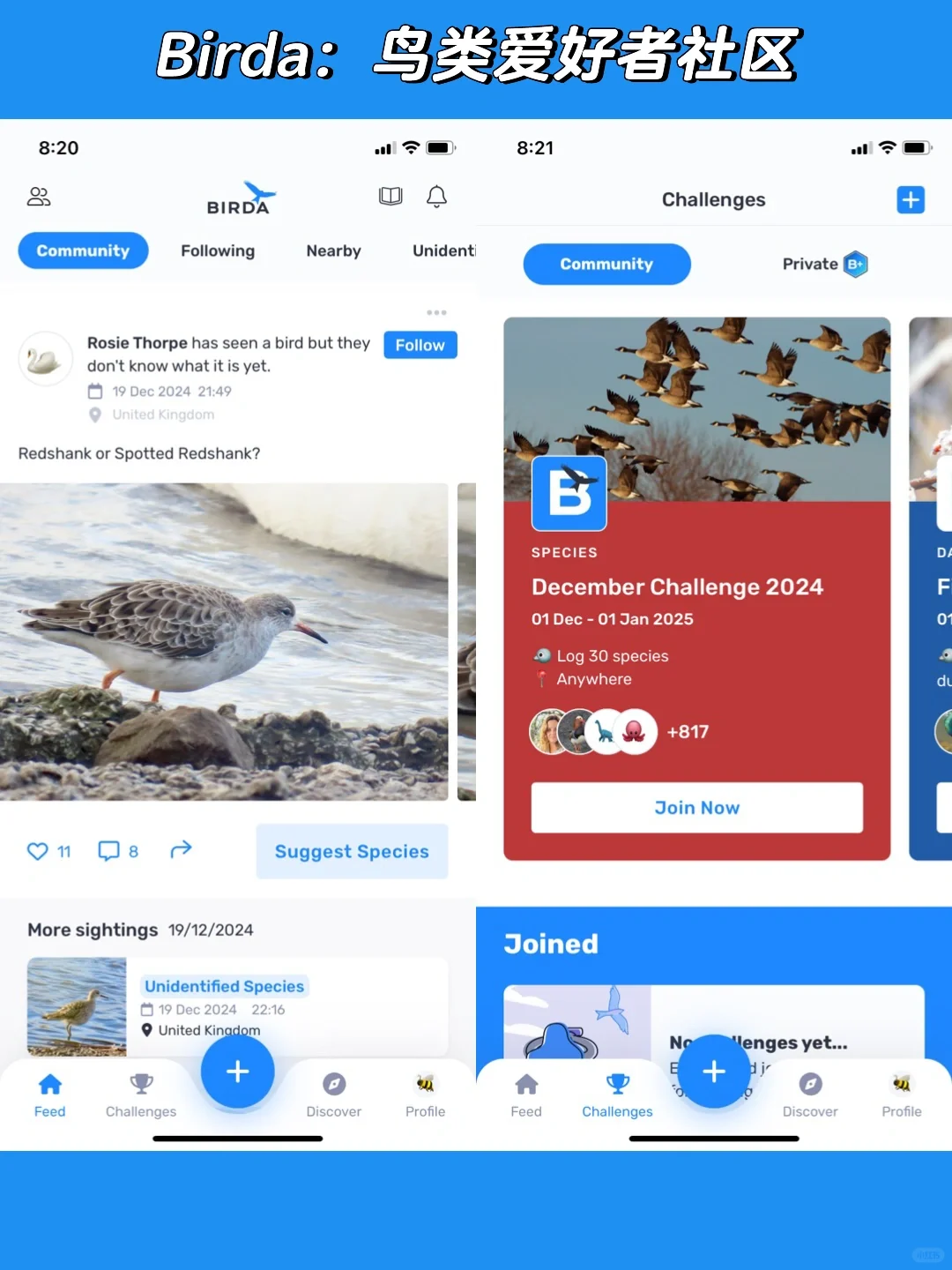 9款小众的兴趣爱好App，治愈一切的良药