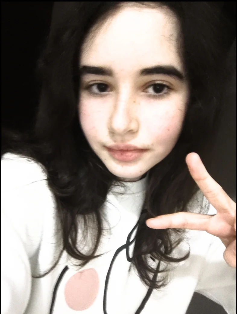 hello how are you ?? :))⋆. 𐙚 ˚