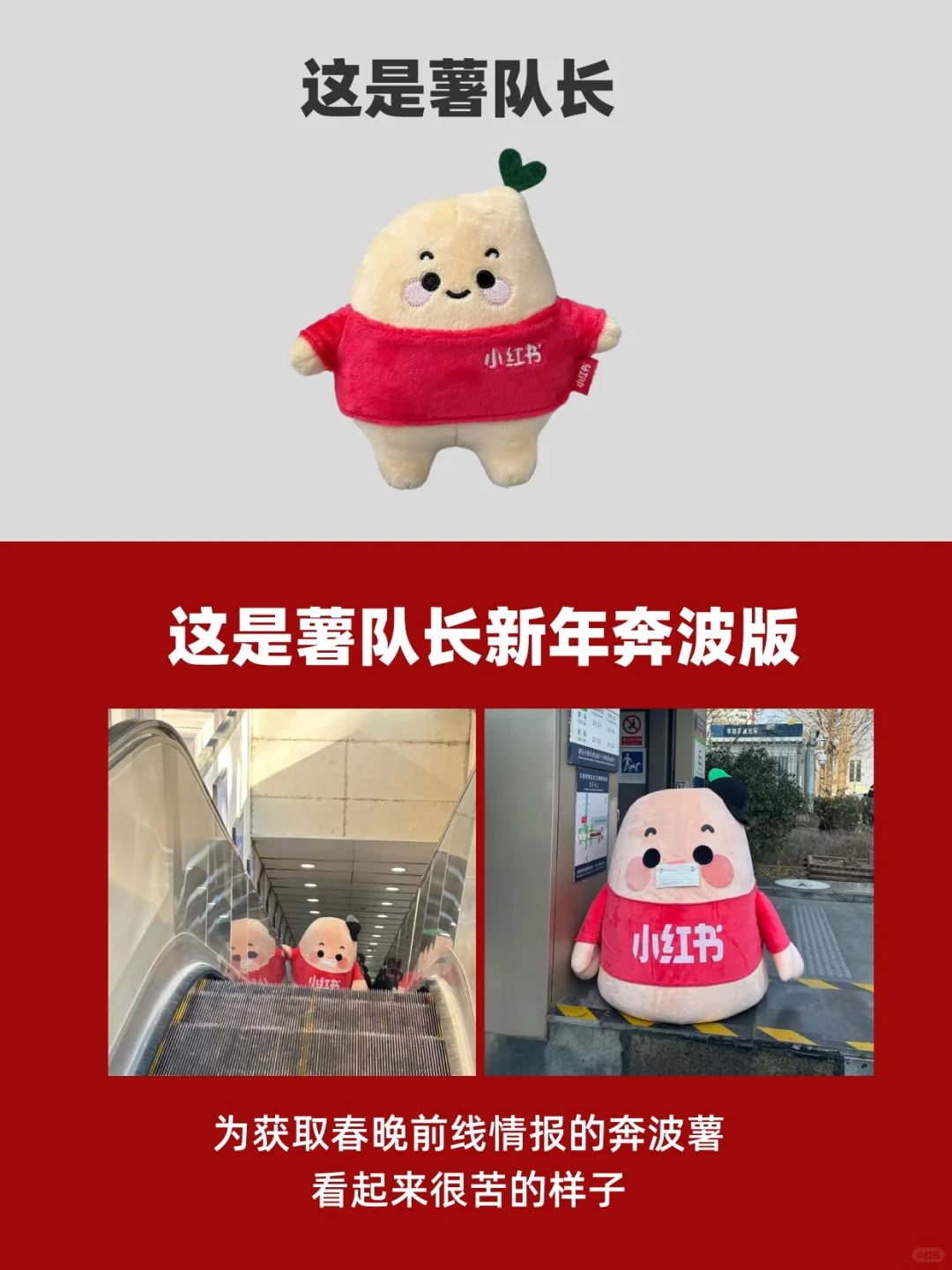 谁是过年最值得用的App？