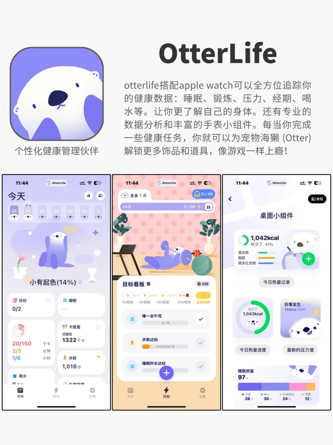 🔍宝藏大公开！4款小众却上瘾APP