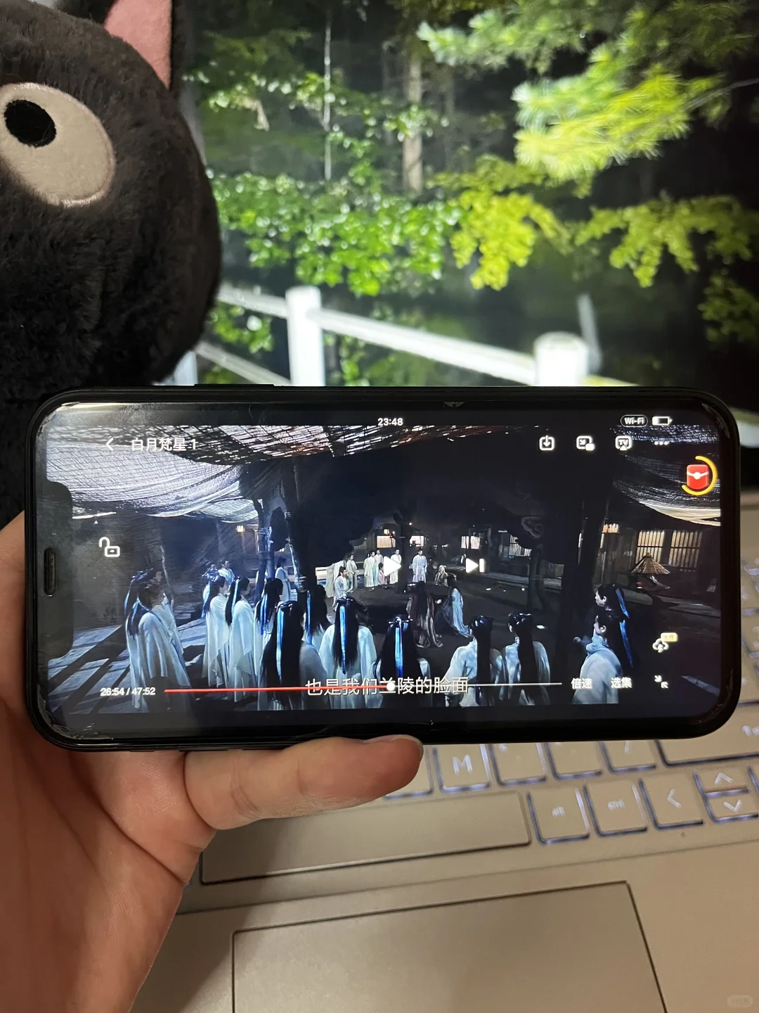 一毛钱不花看剧真香啊！