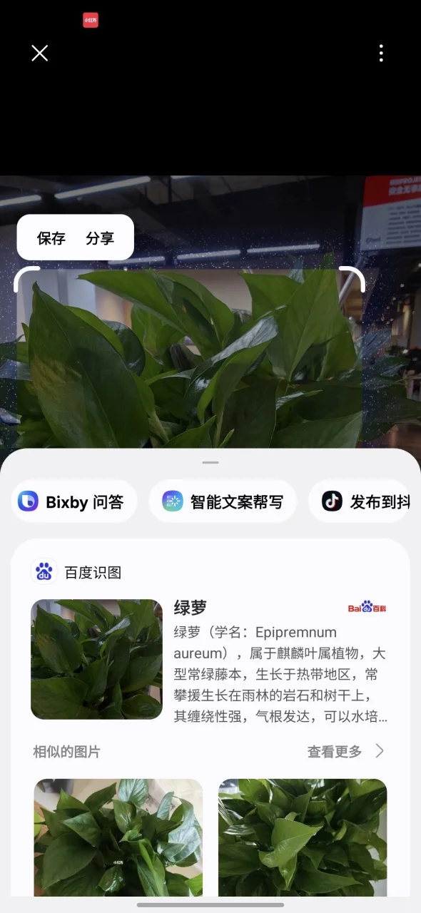 这才是安卓机皇该有的实力