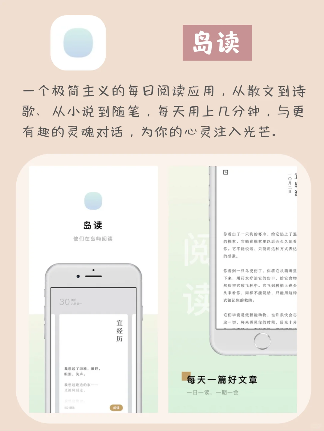 安卓党的神仙APP❗️强大且实用