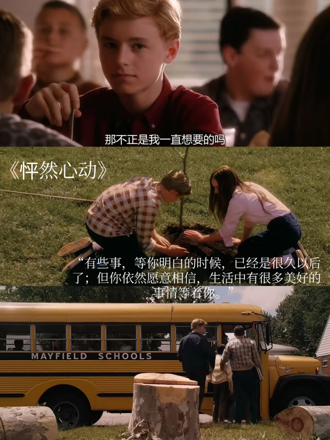 亲情、友情、梦想与勇气：春节家庭观影必备