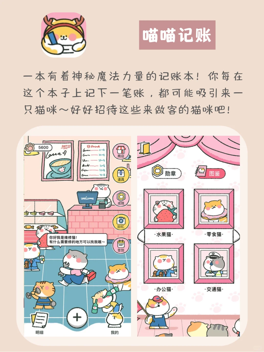 安卓党的神仙APP❗️强大且实用