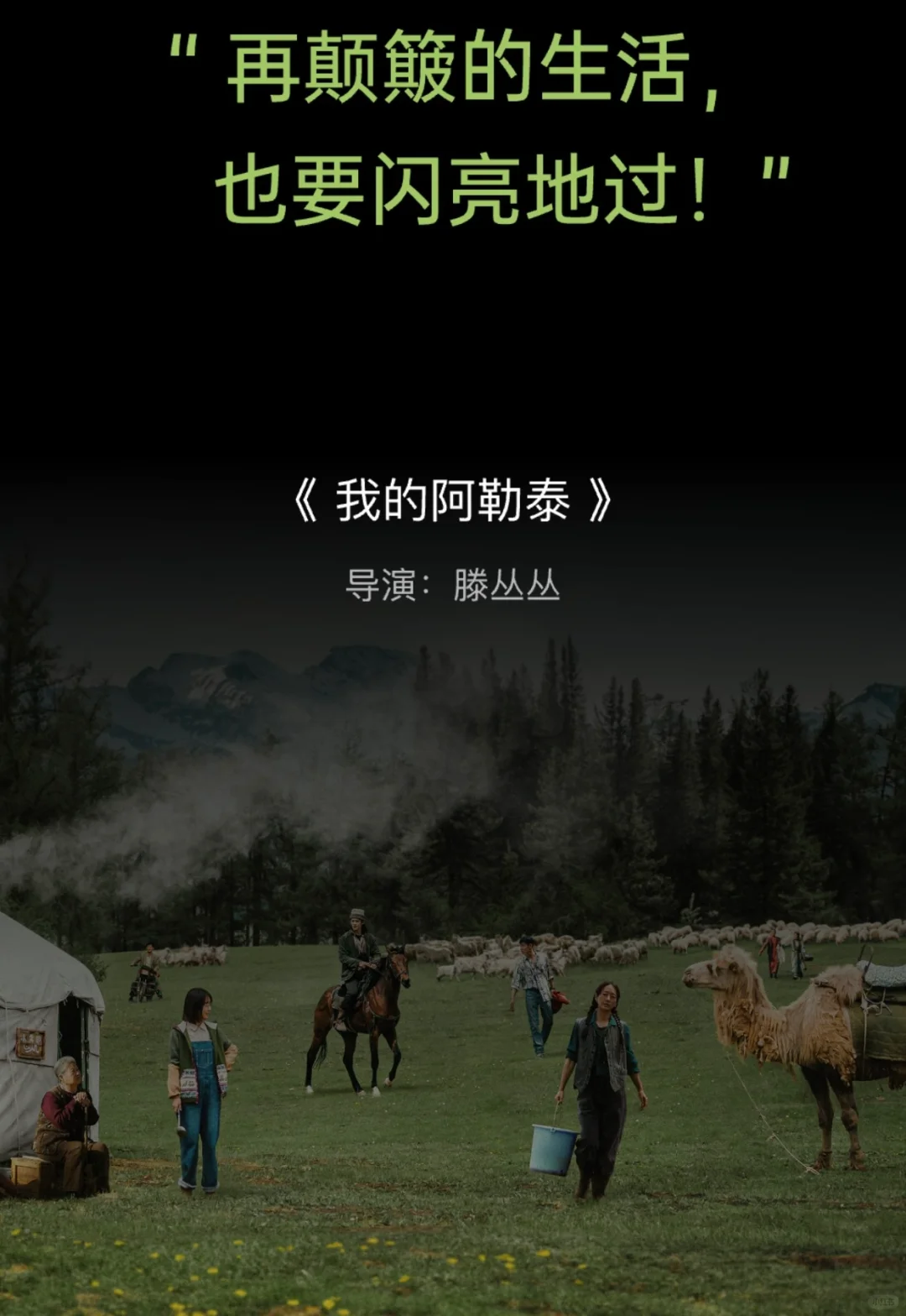 ‼️2024豆瓣电影榜单‼️够看一整年了