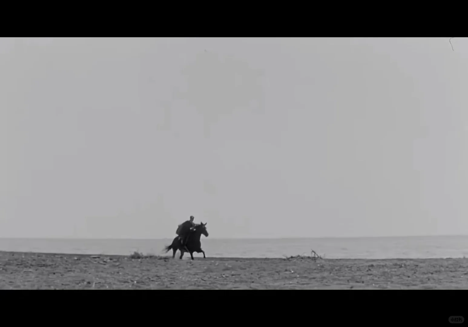 电影|八部半 把观众的大脑放入破壁机