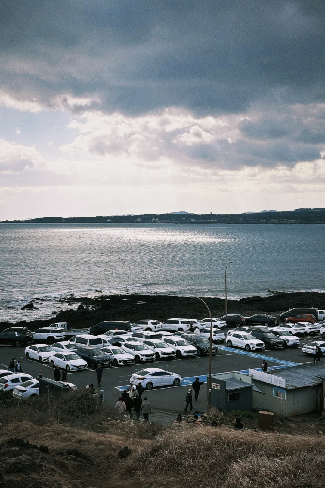 Dazz DQS｜手机记录济州之行