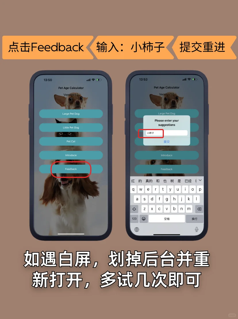 拯救剧荒的苹果应用商店宝藏软件