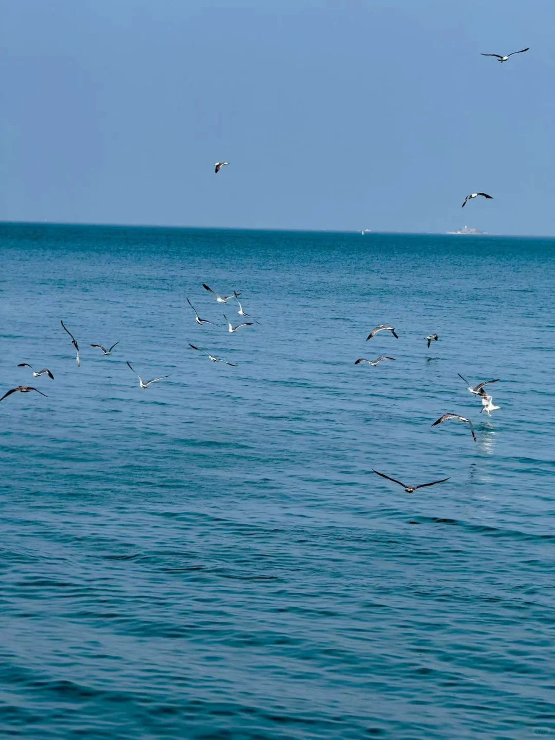 安卓有自己的dazz相机