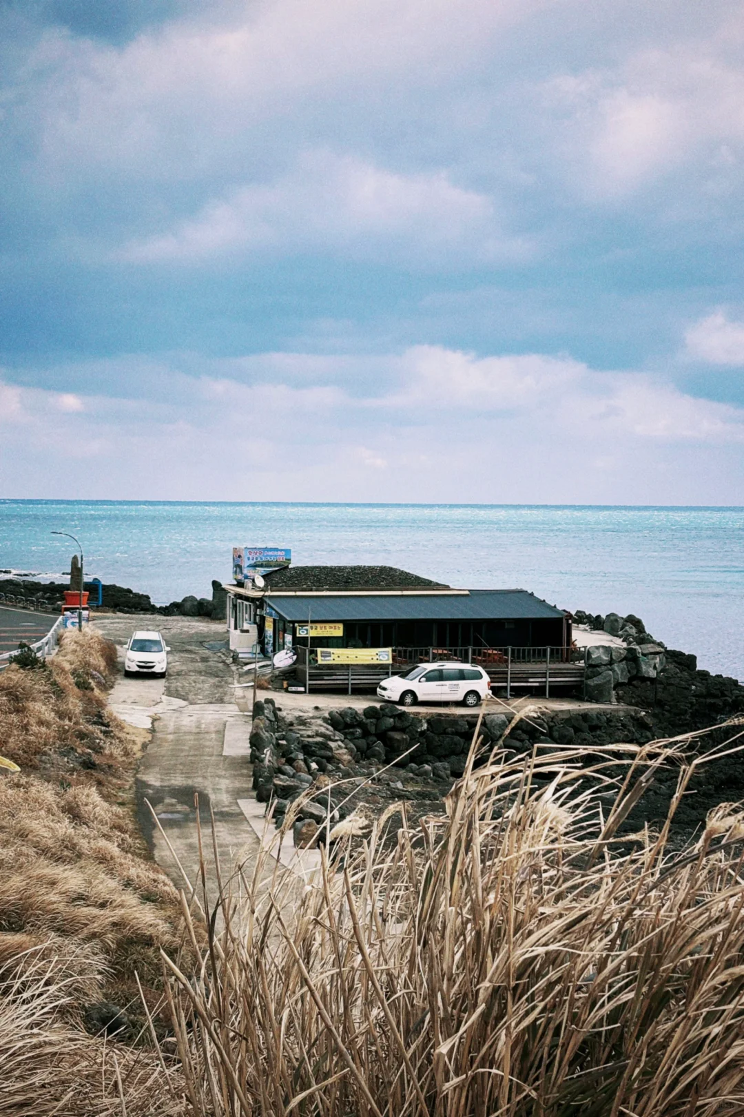 Dazz DQS｜手机记录济州之行