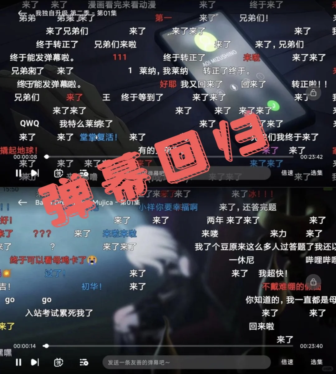 追番神器回来啦！！！