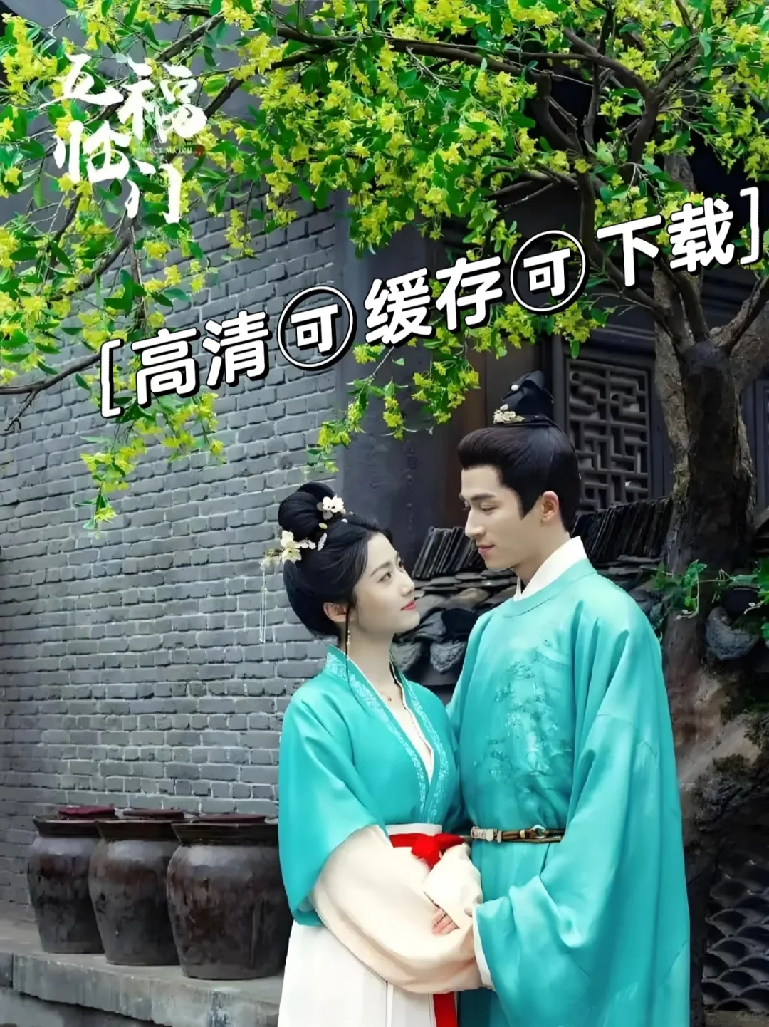 春节，宅家一起追剧吧！！！！