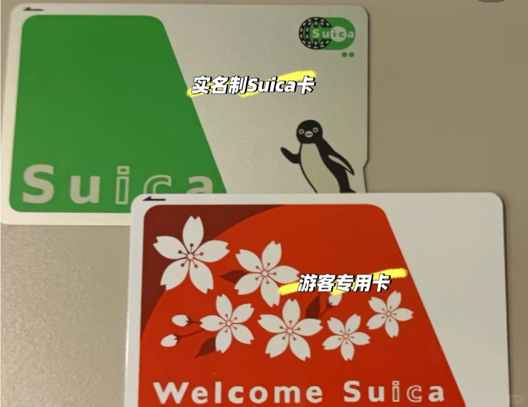 日本自由行必看❗保姆版❶