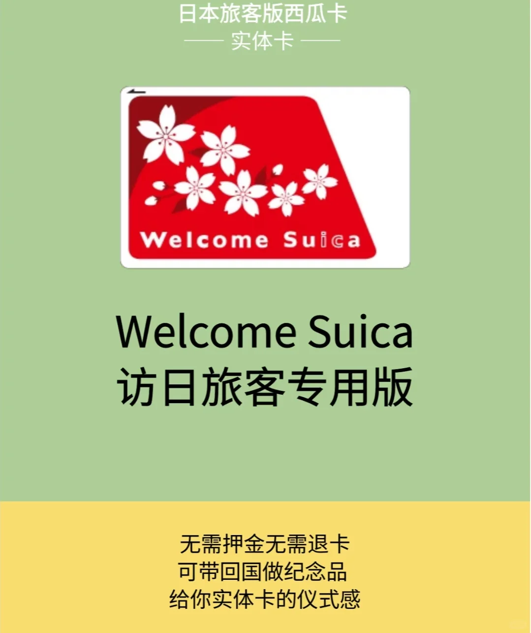 日本自由行必看❗保姆版❶