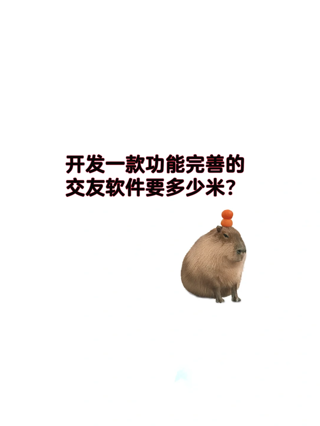 APP开发多少米？功能完善的