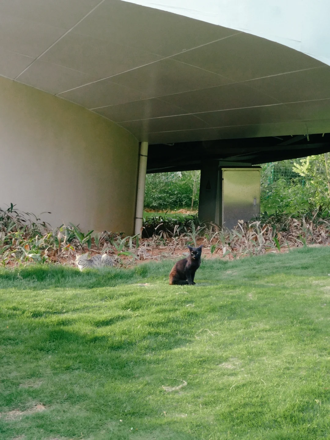 用不到Dazz的姊妹來看看