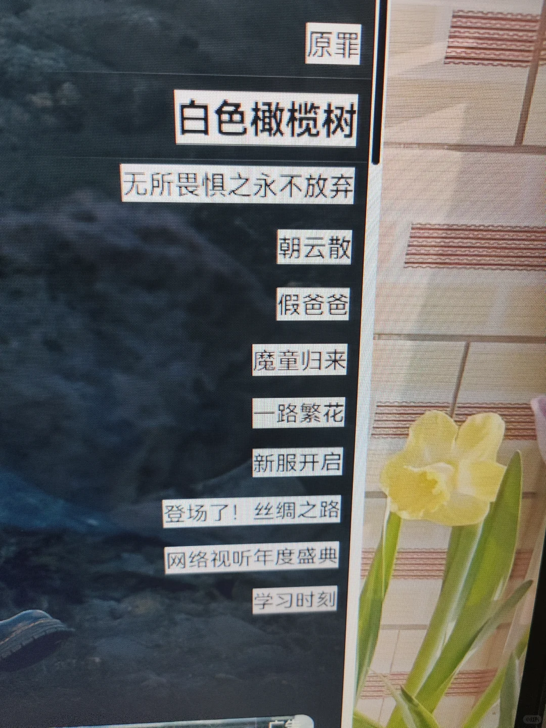 打开所有软件 咋都变成这样了