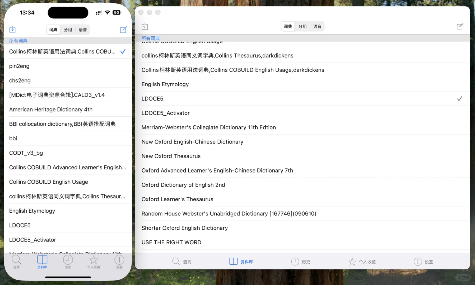 Mdict 软件安装&词典导入