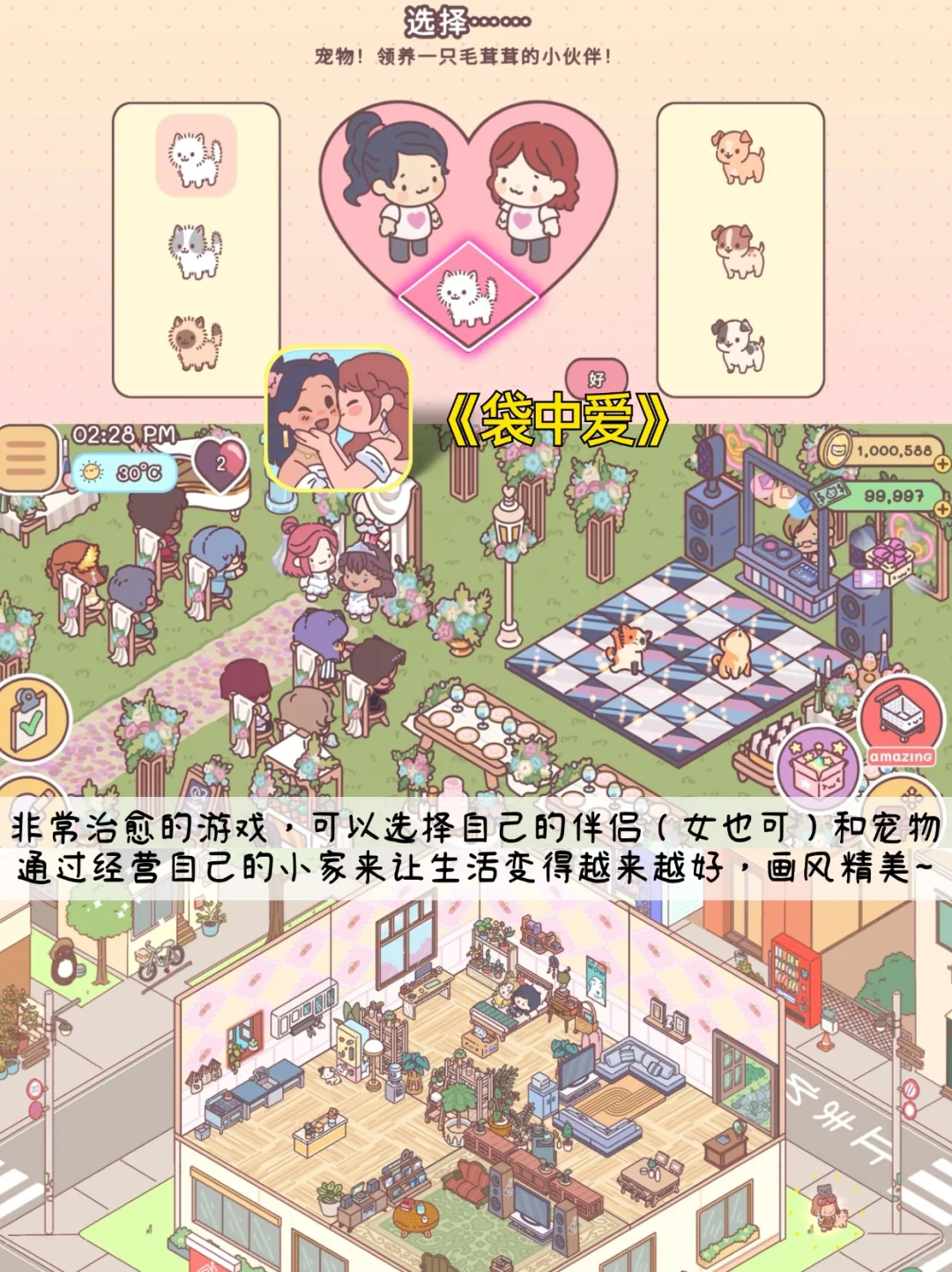 泰好了‼️是装修➕经营➕寻物游戏🎮我们有救啦