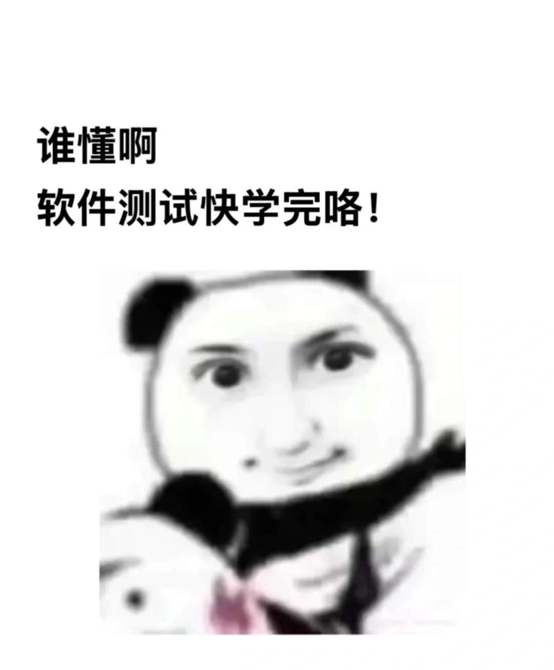 我就是天选软件测试打工人！！！！