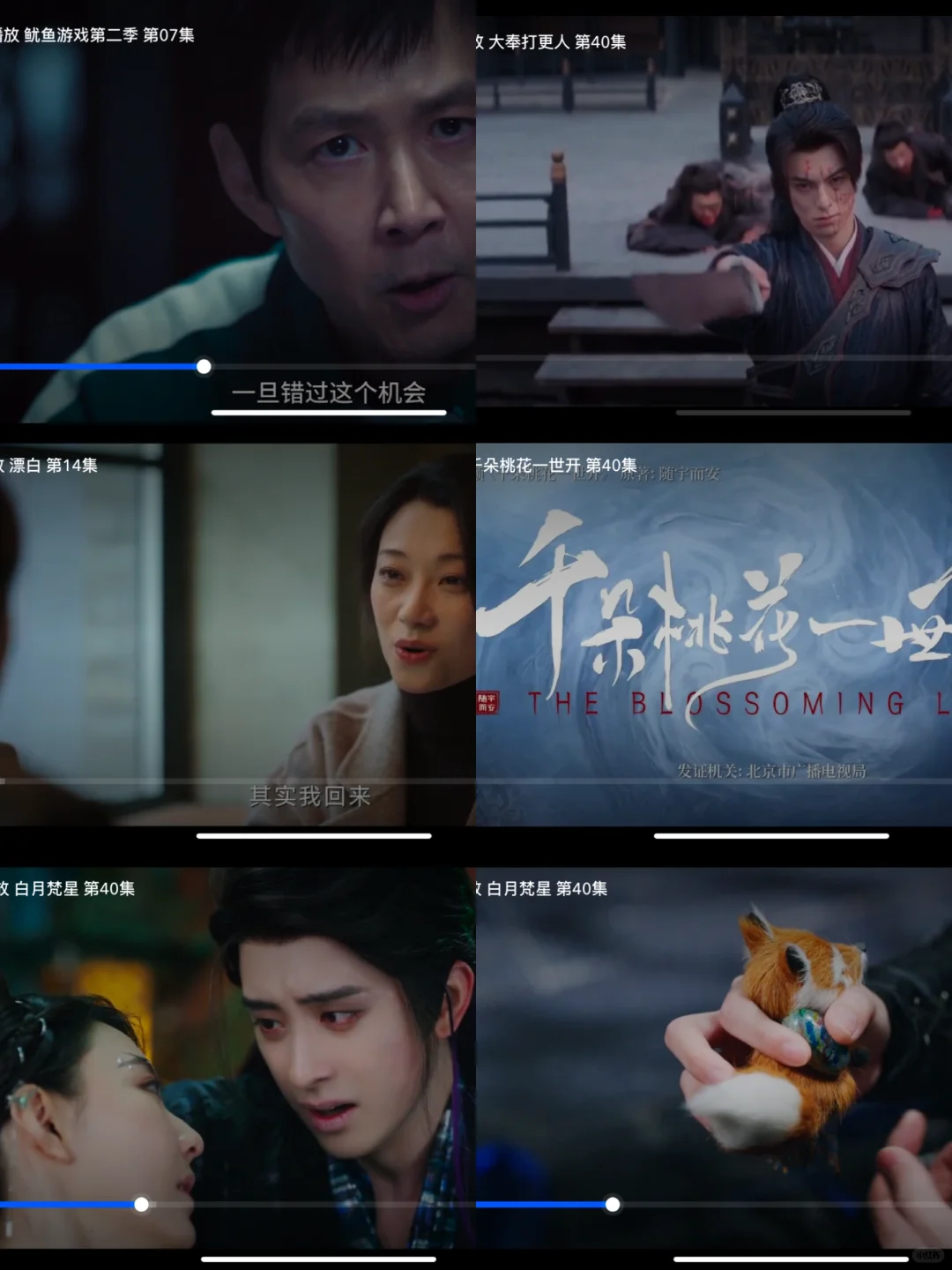 ios安卓平板免费追剧APP~假期不无聊