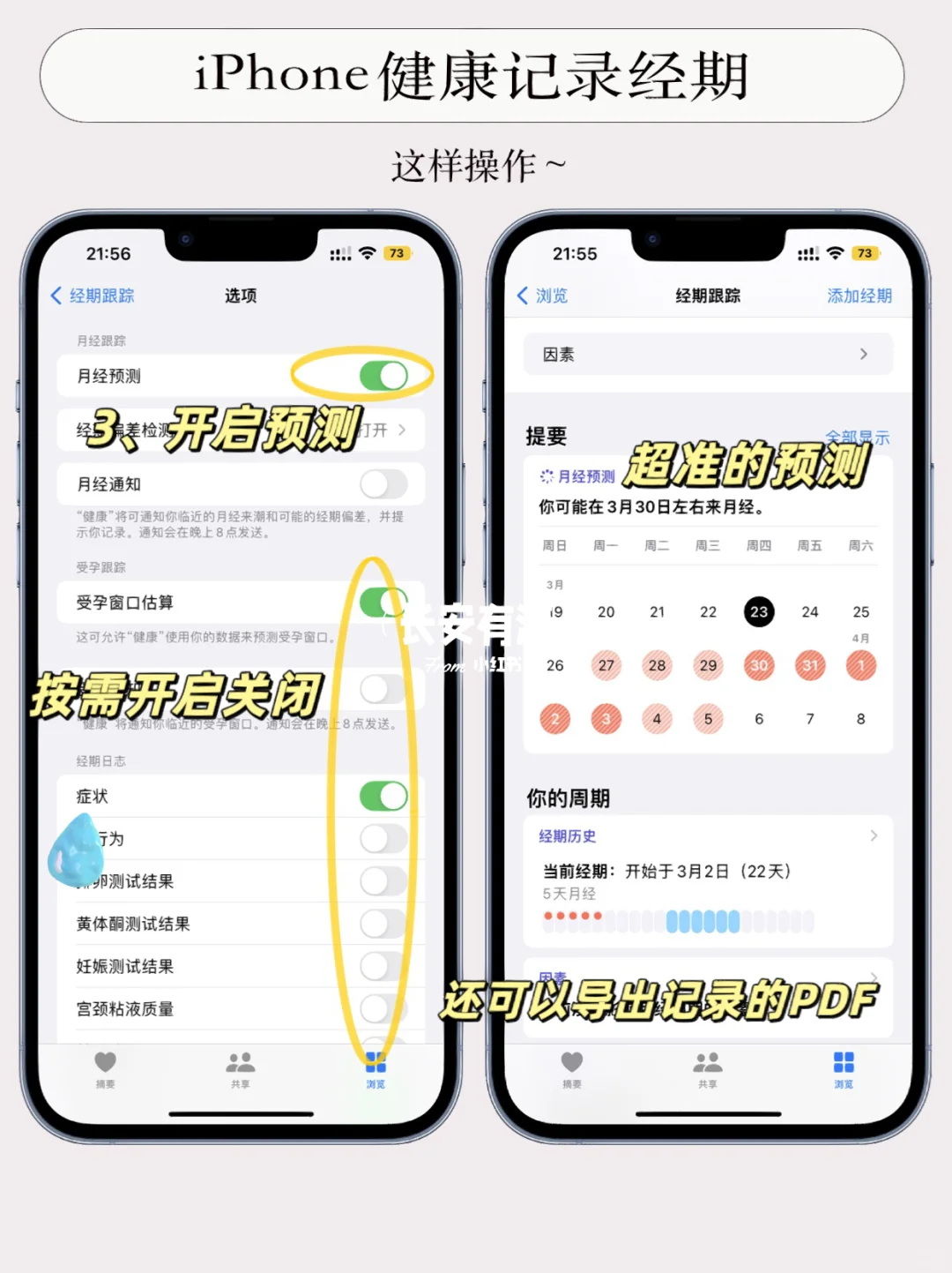 iPhone自带健康你真的知道用吗⁉️女生都进来