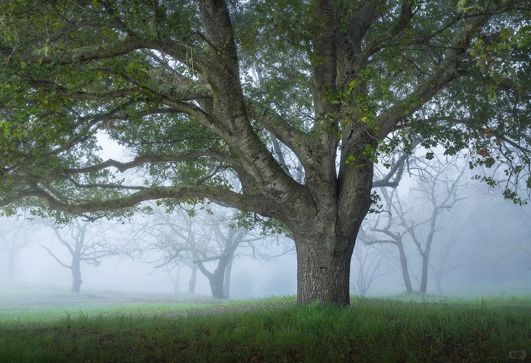专业风光摄影师常用软件