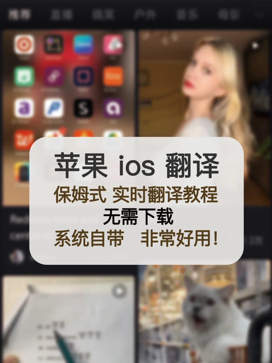 小红书实时翻译，冲浪畅通无阻