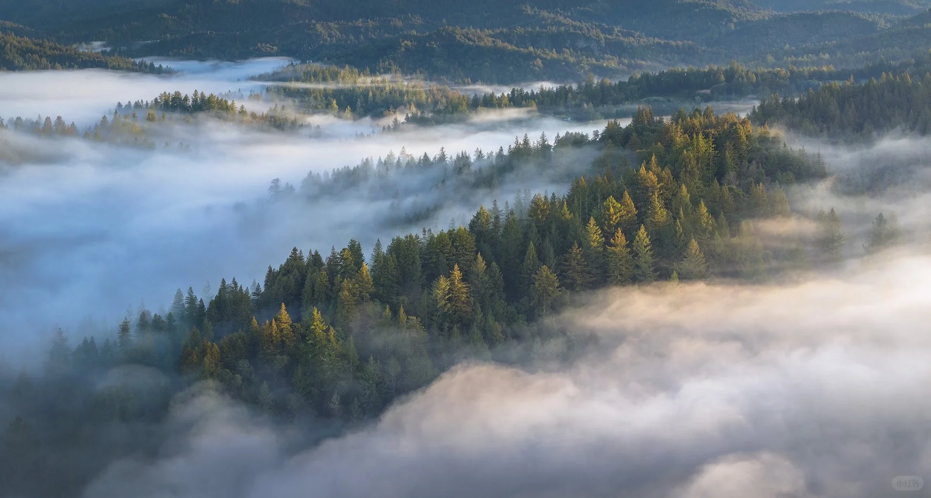 专业风光摄影师常用软件
