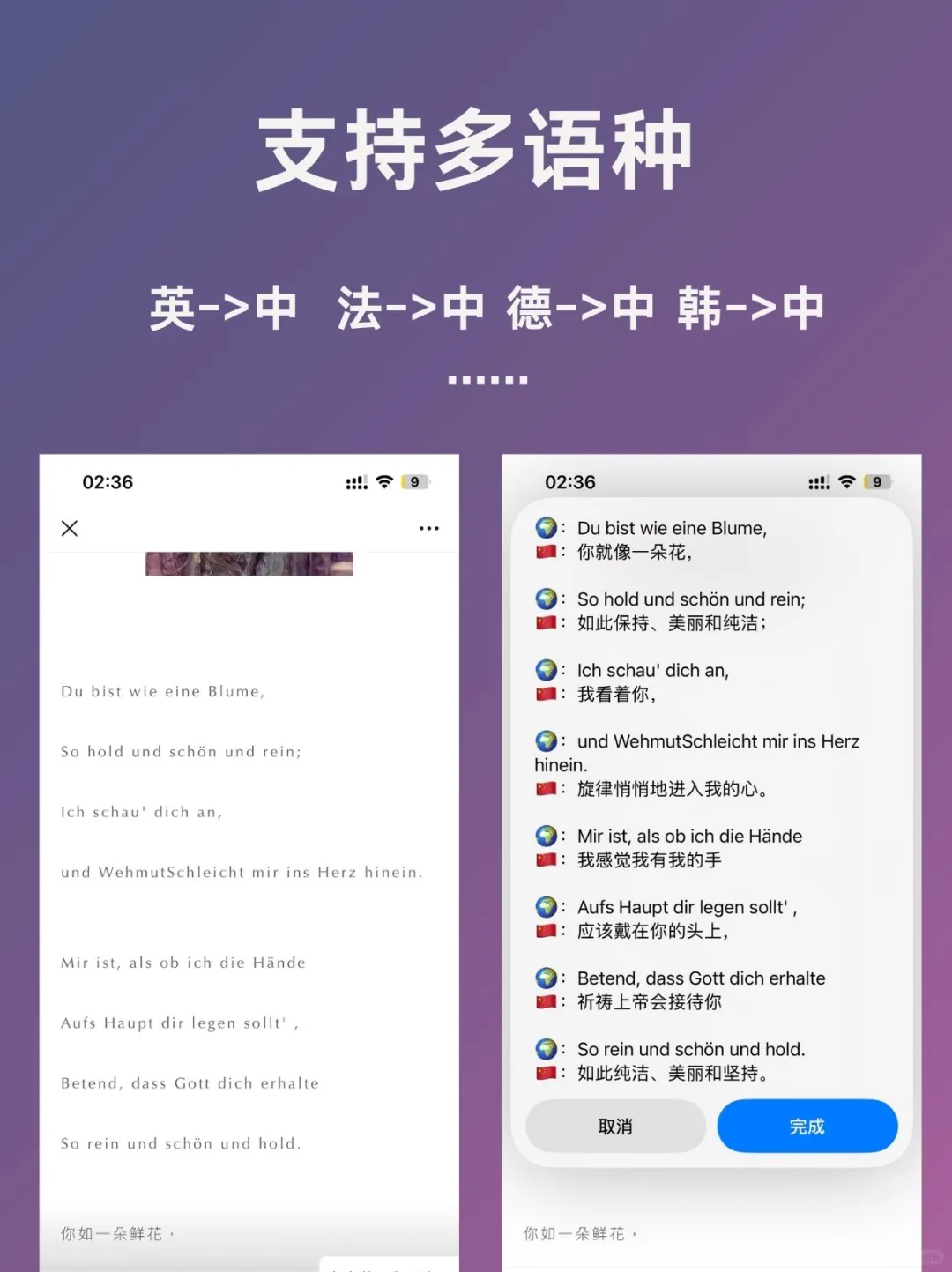 太快了iphone用户专属翻译神器,了解一下!