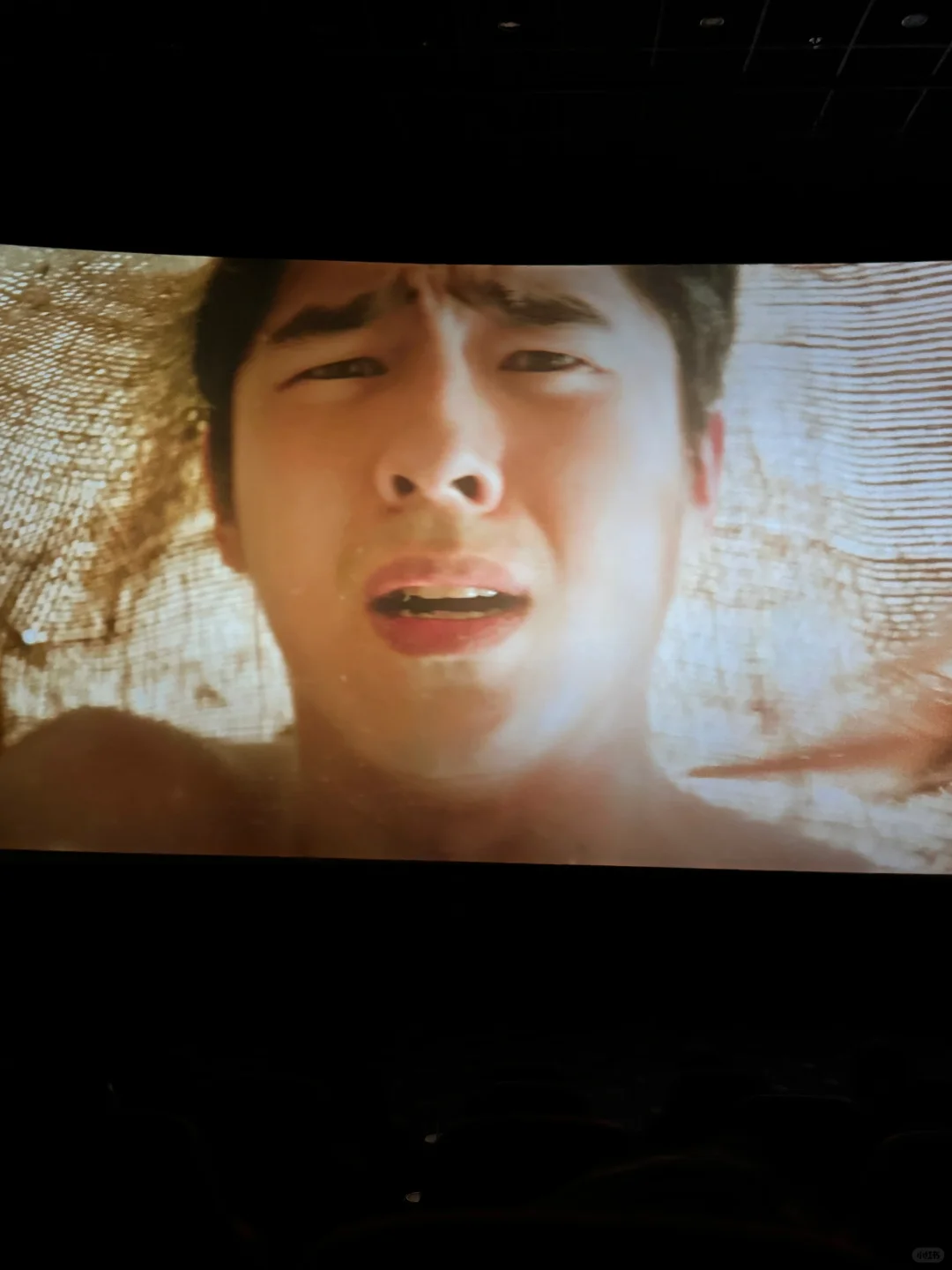 大过年的 这谁顶得住啊………