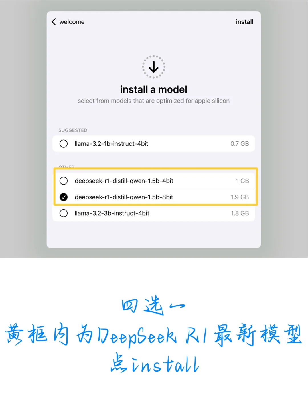 不等苹果AI了，直接部署DeepSeek R1大模型