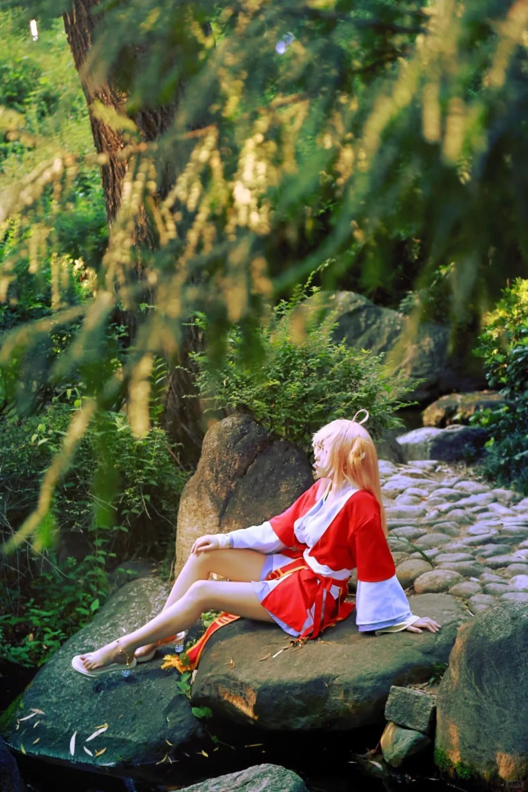 后期开单超级白菜🤤