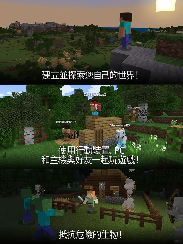 我的世界🎮苹果iPad版免费分享🔥