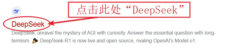 电脑如何登录并使用DeepSeek？保姆级教学！