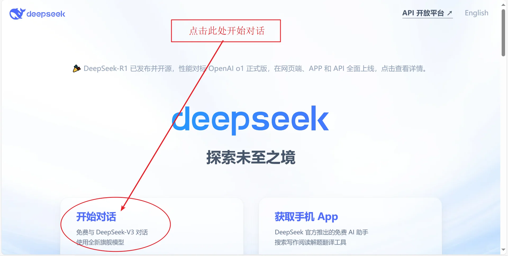 电脑如何登录并使用DeepSeek？保姆级教学！