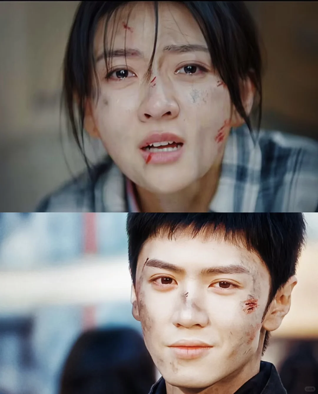 是影迷的点个赞🔥《白色橄榄树》❗️笑不活啦